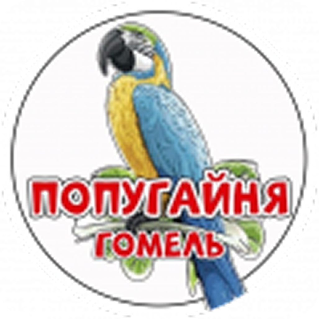 Посещение попугайни от 13р в Гомеле
